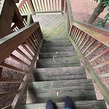 Deck Staining 5
